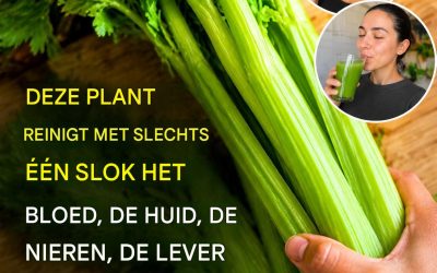 Ontdek de eenvoudige kracht van selderijsap: een frisse manier om je dagelijkse welzijnsroutine te ondersteunen.