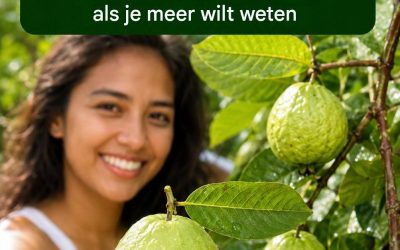 Deze vrucht verlaagt de bloedsuikerspiegel sneller dan insuline en zorgt ervoor dat je… Lees meer 👀