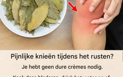Ontdek de wereld van laurierblaadjes: een eeuwenoud keukeningrediënt voor alledaags comfort.