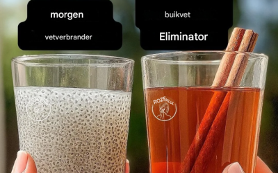 Afslankdrankje: Elixir met honing en kaneel voor een optimale stofwisseling.