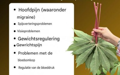Cassavebladeren, die moet je op deze manier gebruiken…in