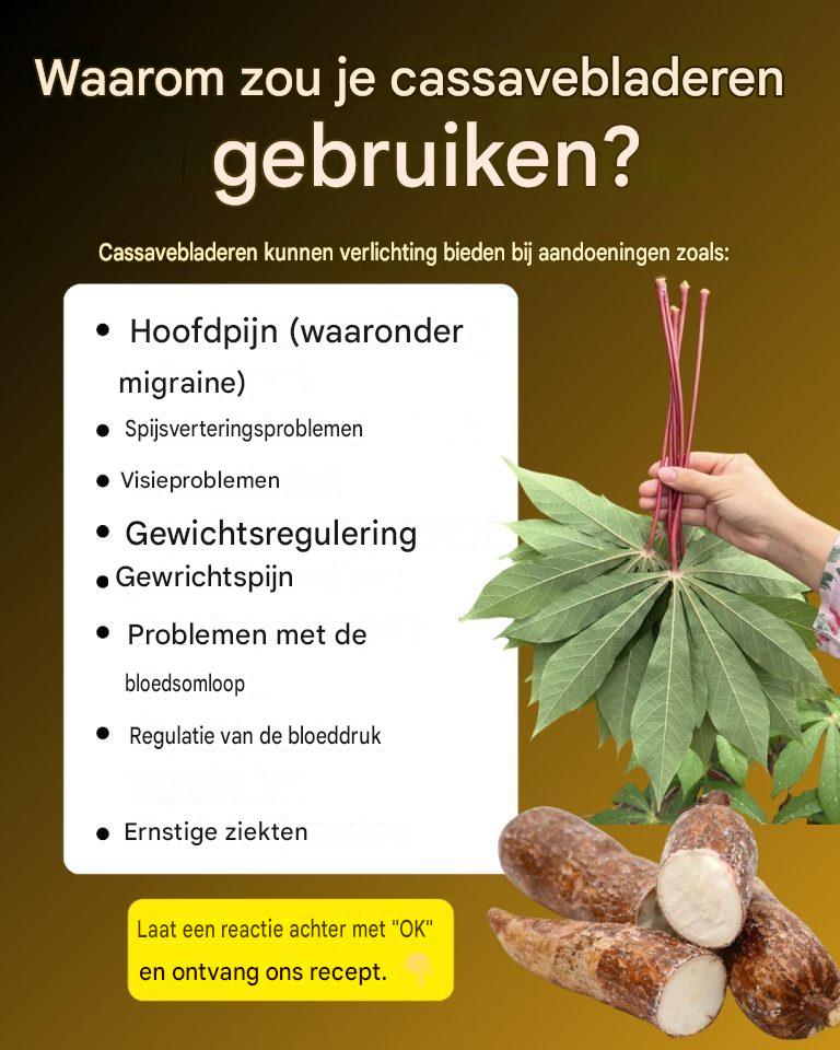Cassavebladeren, die moet je op deze manier gebruiken…in