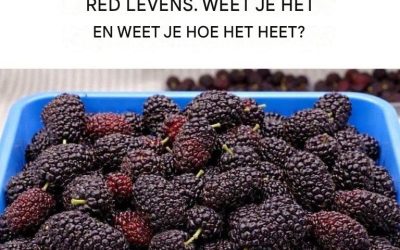 Oude vruchten: Red je leven, ontdek hun kracht