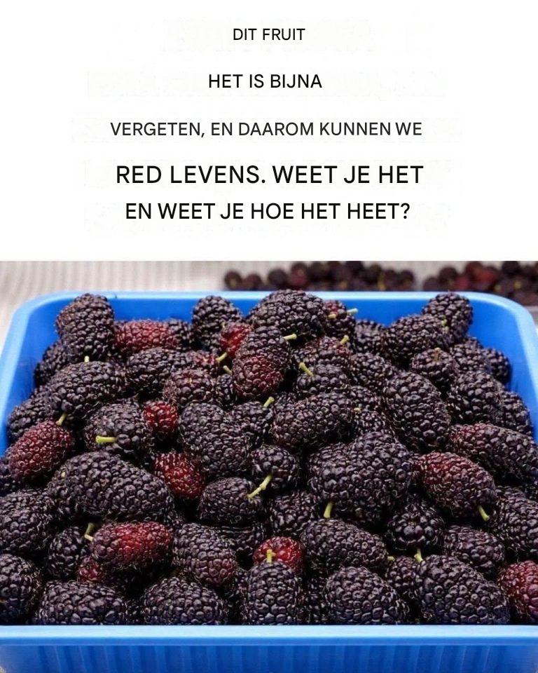Oude vruchten: Red je leven, ontdek hun kracht