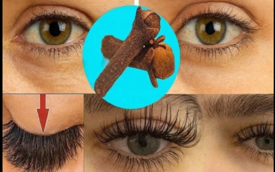 Oma’s schoonheidsgeheim: volle wenkbrauwen en langere wimpers met kruidnagel