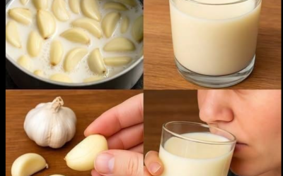 Knoflookmelk: kosten, gebruik in de keuken en een praktische gids voor een bewust wellnessbudget
